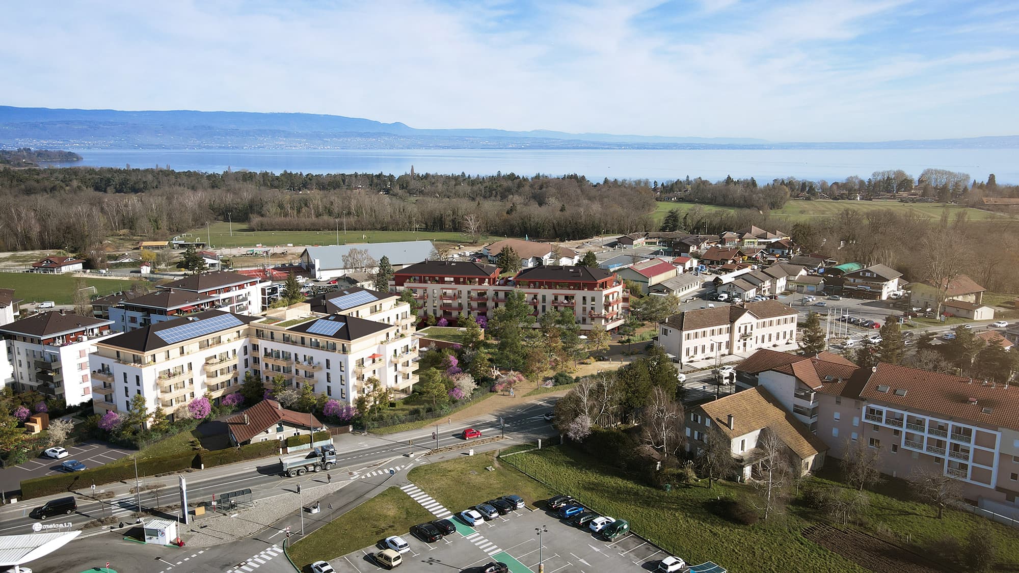 Swan, Sciez — view 2
